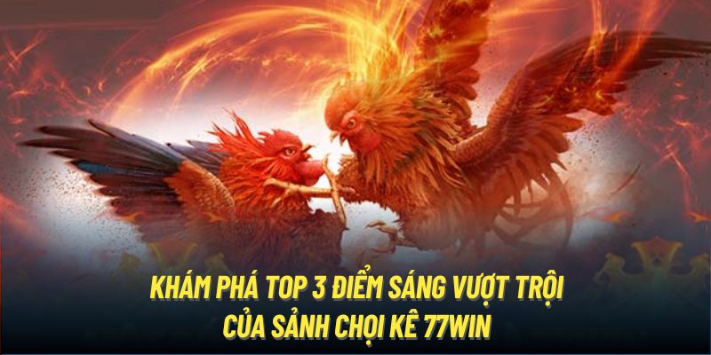 Khám phá top 3 điểm sáng vượt trội của sảnh chọi kê 77WIN